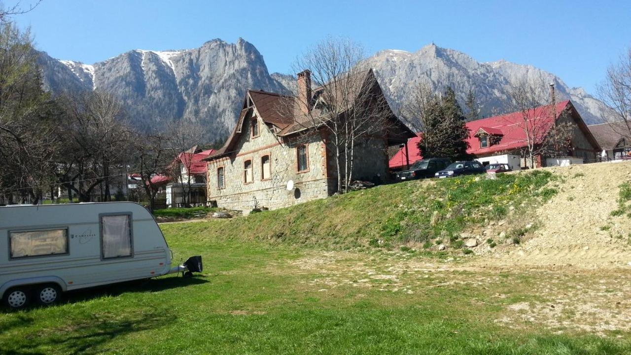Camping Aviator Busteni, Camere Экстерьер фото